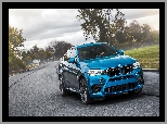 BMW X6 M, 2015, Niebieskie, F86