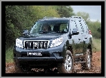 Land Cruiser, Droga, Toyota, Prado TX