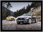 Mustang converbile, Samochody, Ford