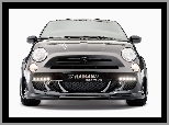 Sportivo, Hamann, Fiat 500