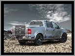 Srebrny, Ford F 150